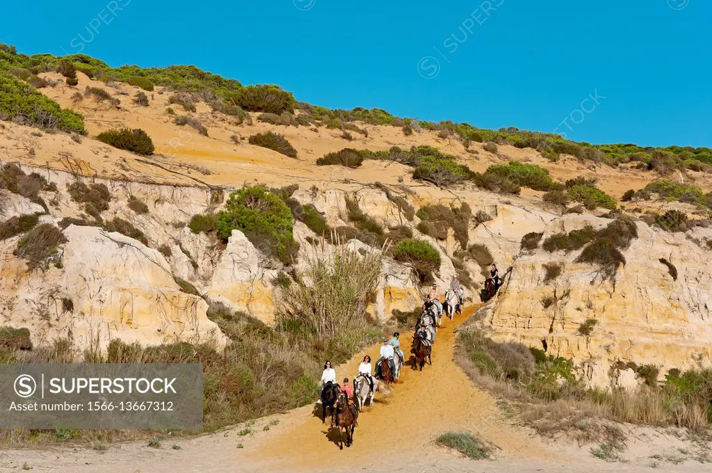 Equestrian tourism on the Asperillo dunes, Doñana Natural Park, Matalascañas, Huelva province, Region of Andalusia, Spain, Europe.