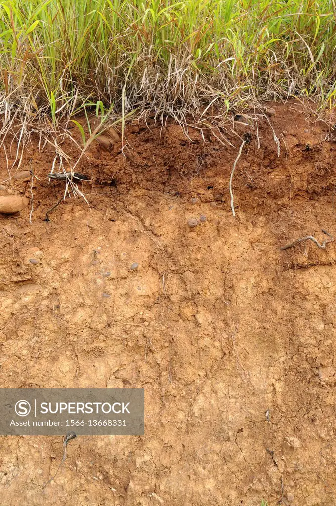 Clay soil or heavy soil. Ethiopia.