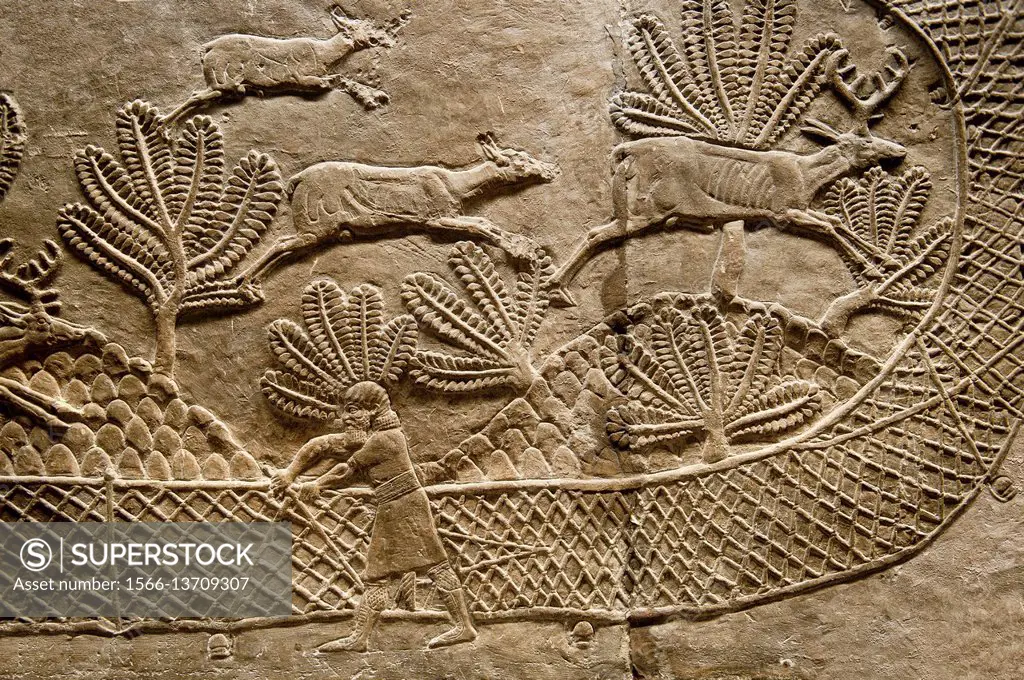 Assyrian relief sculpture panel of man stretching a net across the escape route of a herb of deer that are being hunted. From Nimrud, Iraq, 865-860 B....