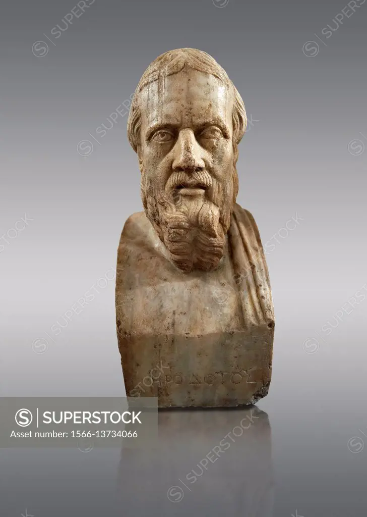 Roman marble sculpture bust of Herodotus, 3rd Century AD from an original early 4th century BC Hellanistic Greek original, inv 6146, Museum of Archaeo...