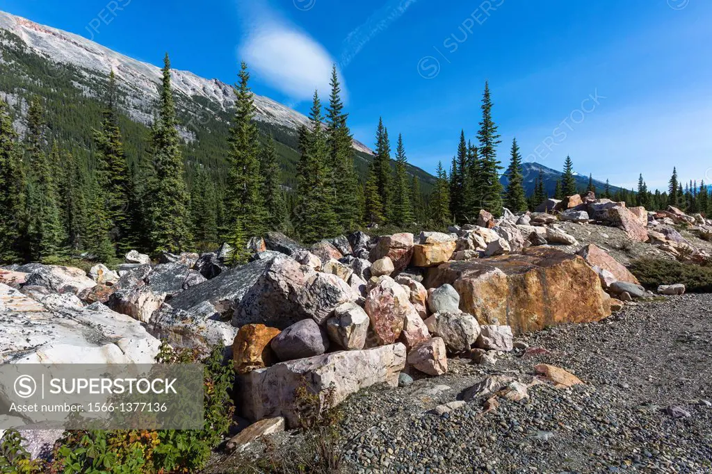 Quartzite Boulder in the Jasper National Park, Alberta, Canada