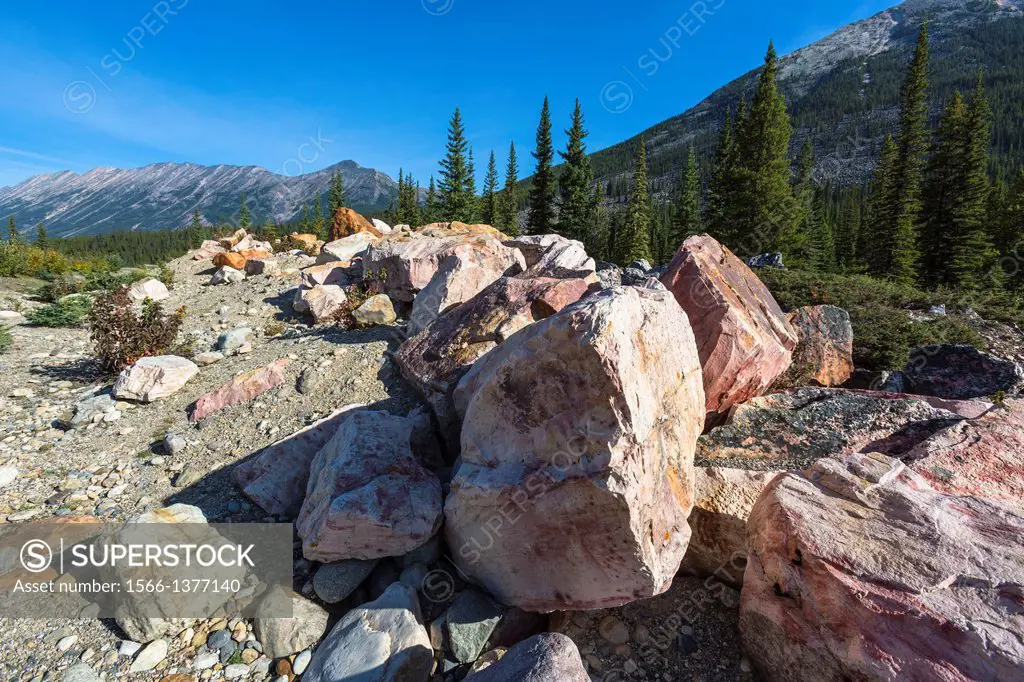 Quartzite Boulder in the Jasper National Park, Alberta, Canada