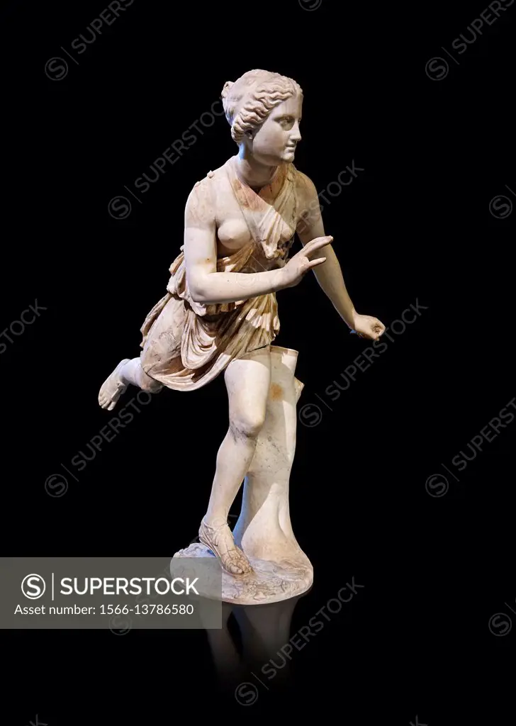 Statue of Atalanta a 2nd century Roman sculpture restored in the 17th century. Atalanta is a character in Greek mythology, a virgin huntress, unwillin...