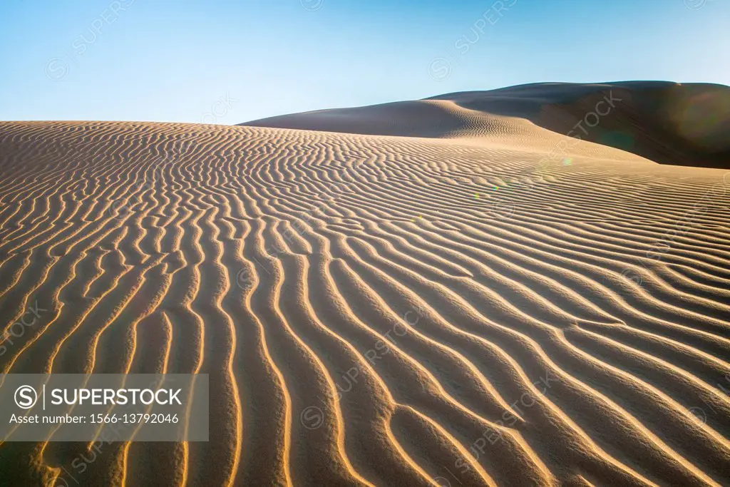 UAE Sand Dunes; Liwa Desert Sand Dune In Abu Dhabi, Dubai