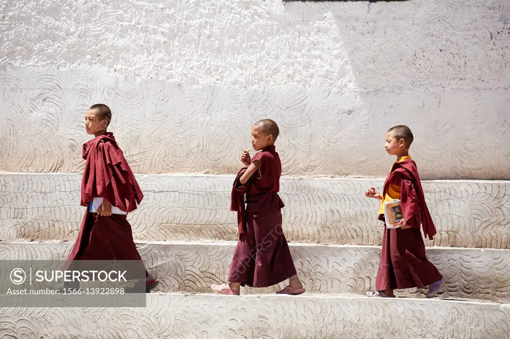 Hemis Gompa, Hemis, Ladakh, India.