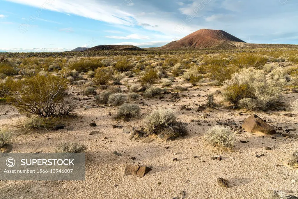 USA, CA, Mojave Desert National Preserve. Cinder Cone National Natural Landmark.