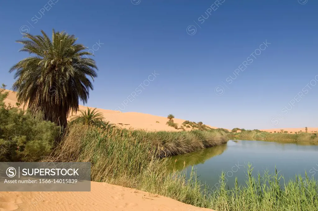 Mafu lake, Erg Awbari, Sahara desert, Fezzan, Libya.