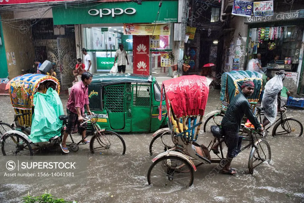 Rickshaws in the monsoon, Dhaka, Bangladesh.