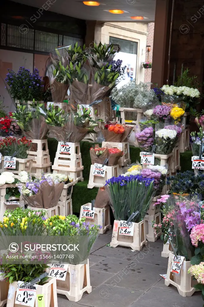 Flower Market in Winchester, England, UK.