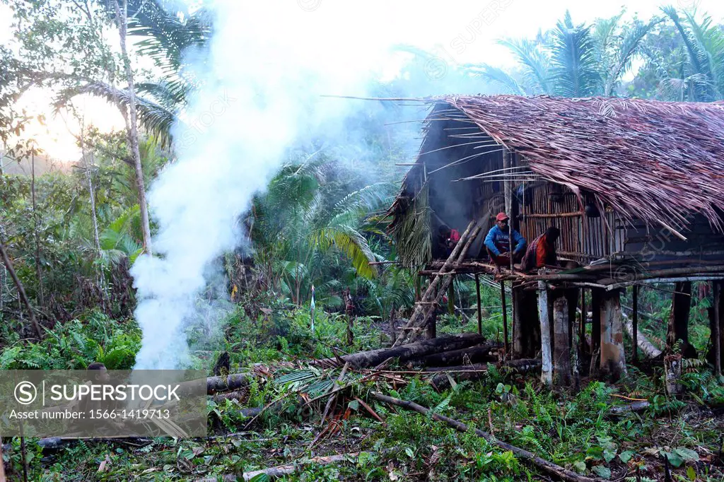 Kombai people sitting in front of a traditional house in the early morning, Papua, Indonesia, Southeast Asia.