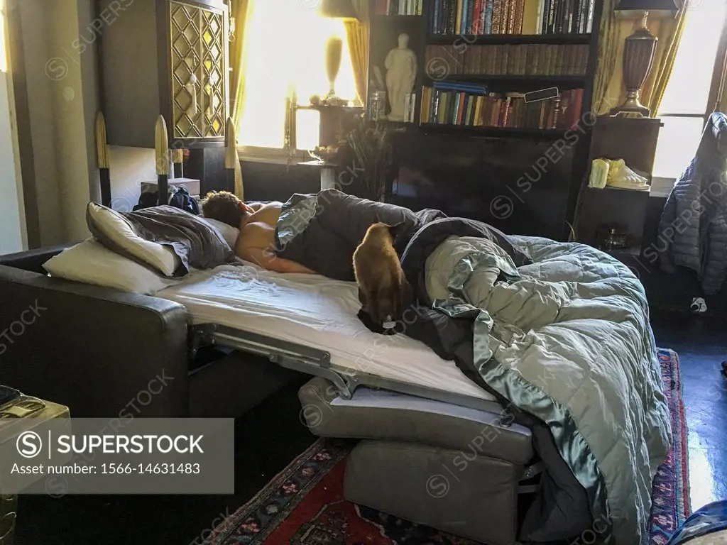 Paris, France. Young gay man sleeping in a living room bed, while his own  bed is rented out through Airbnb guest and traveller. - SuperStock