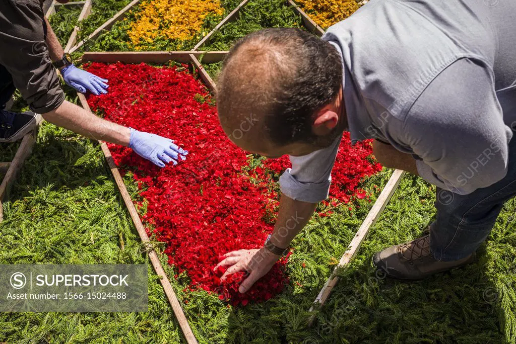 Portugal, Azores, Sao Miguel Island, Ponta Delgada, Festa Santo Christo dos Milagres festival, workers use dyed wood shavings with stencils to make st...