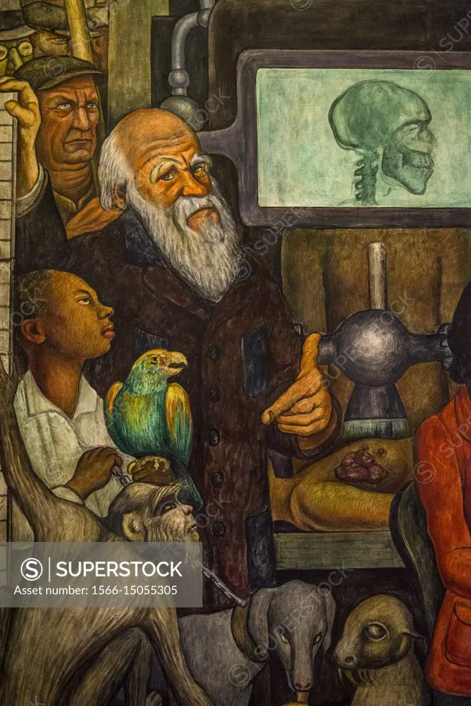 Charles Darwin in the Mural by Diego Rivera 'Man at the Crossroads' or 'Man, Controller of the Universe' made in 1934, Palacio de Bellas Artes (Palace...