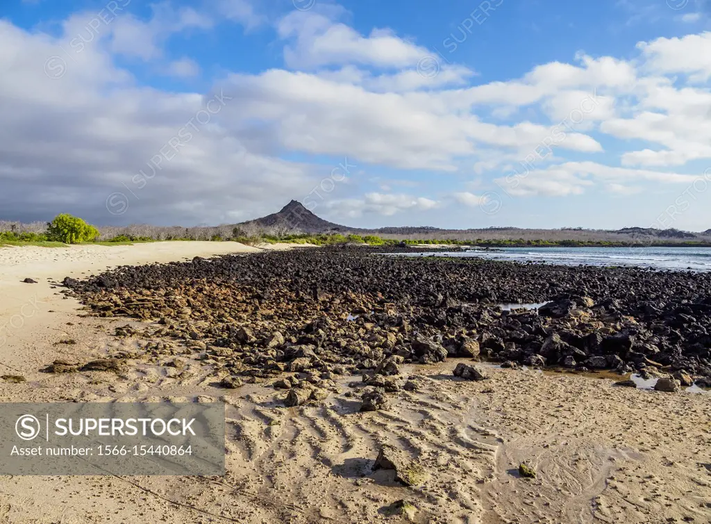 Beach in the Dragon Hill area Santa Cruz or Indefatigable Island