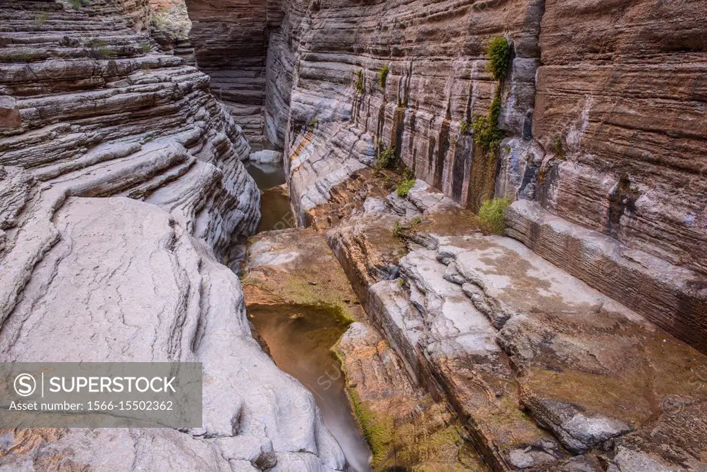 Stream-polished Cambrian Muav Limestone ledges in Matkatamiba Canyon, Grand Canyon National Park, Arizona, USA.