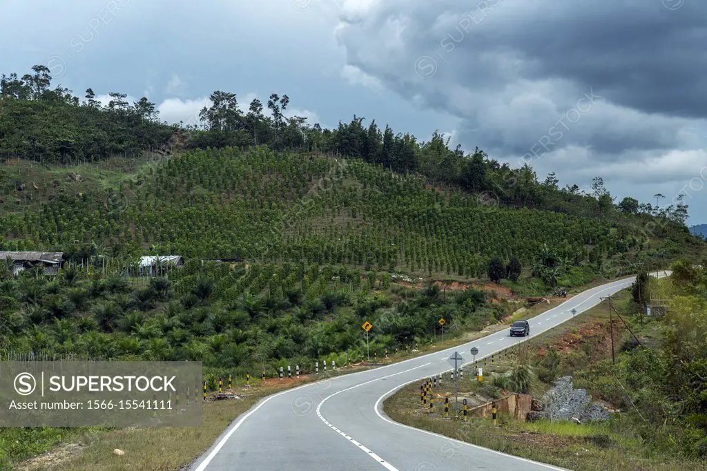 Road to Aruk Immigration Indonesia (West Kalimantan) and Biawak Immigration (Malaysia) border from Aruk Indonesia.