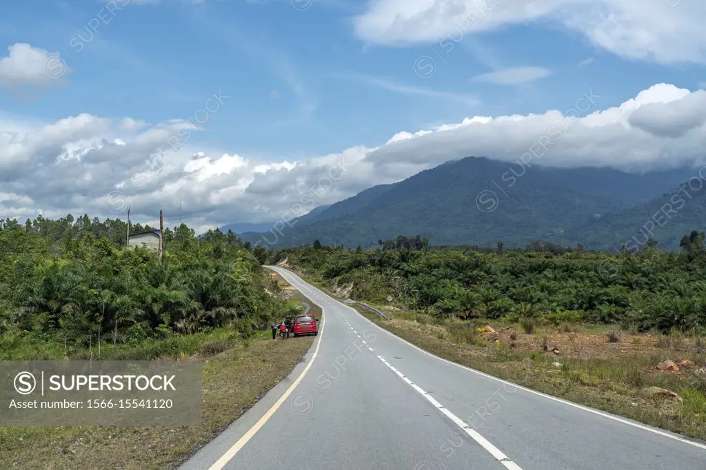 Road to Aruk Immigration Indonesia (West Kalimantan) and Biawak Immigration (Malaysia) border from Aruk Indonesia.