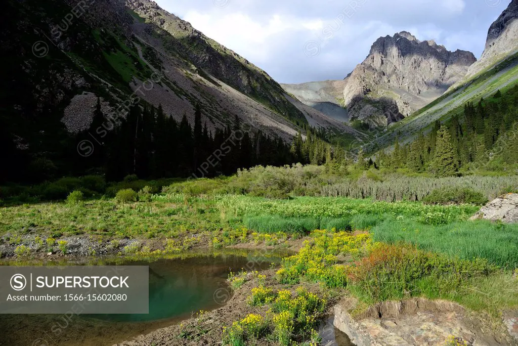 Pond in Kurgak Tor valley, Karakol area, Kyrgyzstan.