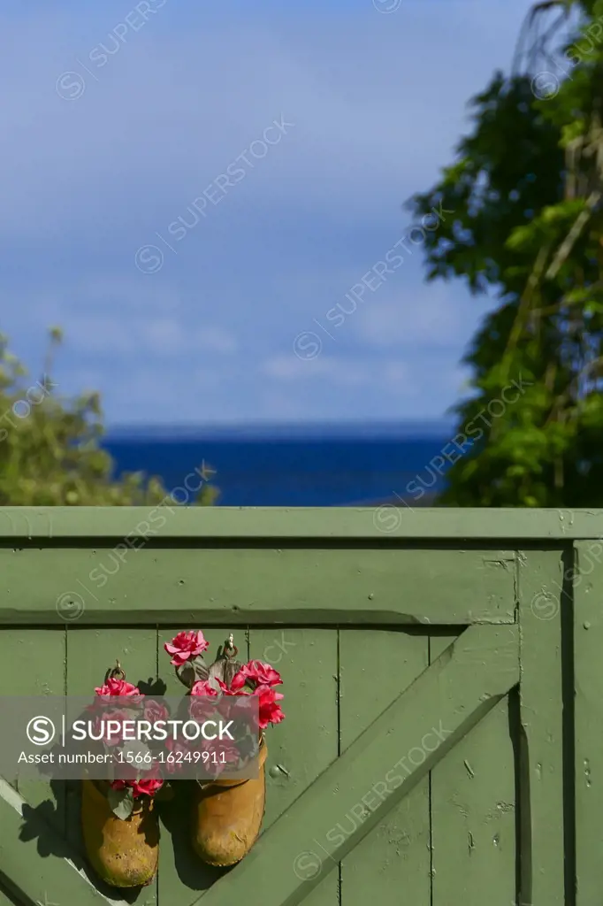 Hjo, Sweden A green garden door with flowers and a view over Lake Vattern.