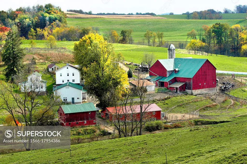 Amish lifestyle and farm house scenic without electrica wires in and around Sugarcreek and Millersburg Ohio OH.