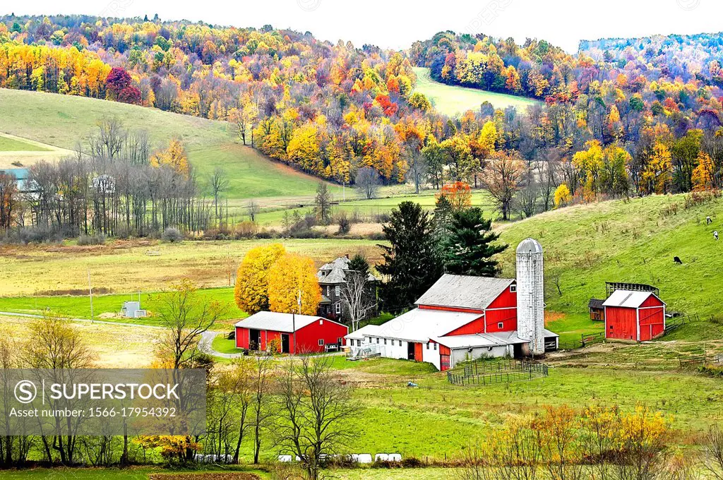 Amish lifestyle and farm house scenic without electrica wires in and around Sugarcreek and Millersburg Ohio OH.