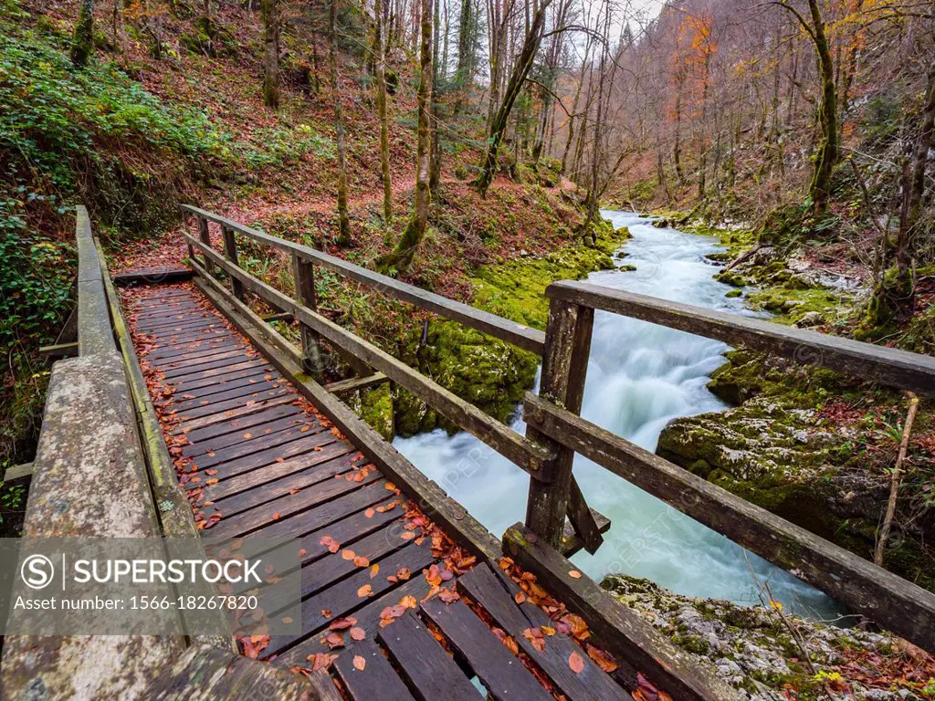 Foot-bridge in Kamacnik near Vrbovsko protected forest Croatia Europe