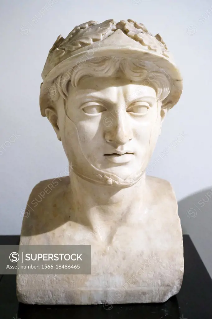Pyrrhus of Epirus (319/318 - 272 BC) Greek king (297 - 272 BC). Herculaneum, Villa of the Papyri 1st century BC.