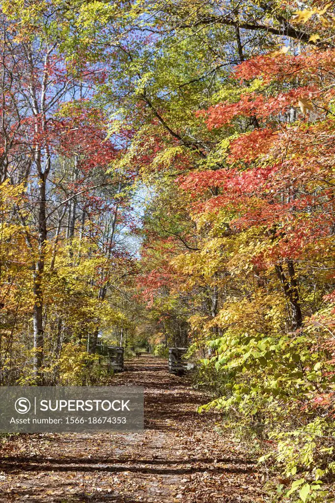 Martinton, West Virginia - The Greenbrier River Trail. The 78-mile rail trail runs along the Greenbrier River. Now a linear state park, it was formerl...