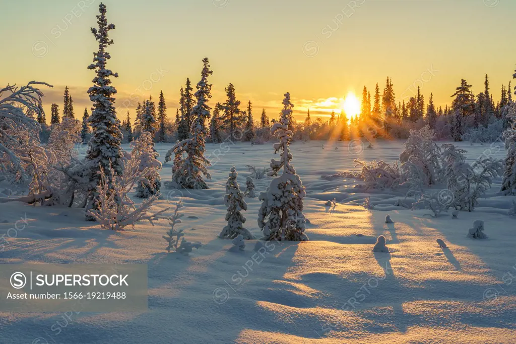 Winter landscape in November with snowy trees and direct light with  colorful sky