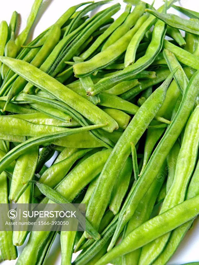 Guar vegetable. Kingdom: Plantae. Division: Magnoliophyta. Class: Magnoliopsida. Order: Fabales. Family: Leguminosae. Tribe: Indigofereae. Genus: Cyam...