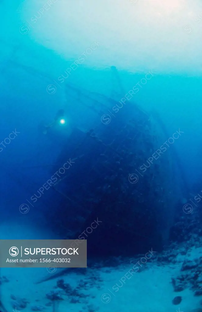 Shipwreck. Red Sea