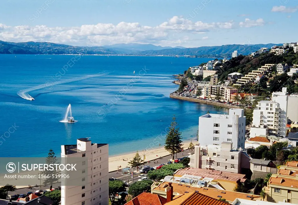 Oriental Parade Wellington Harbour Wellington New Zealand