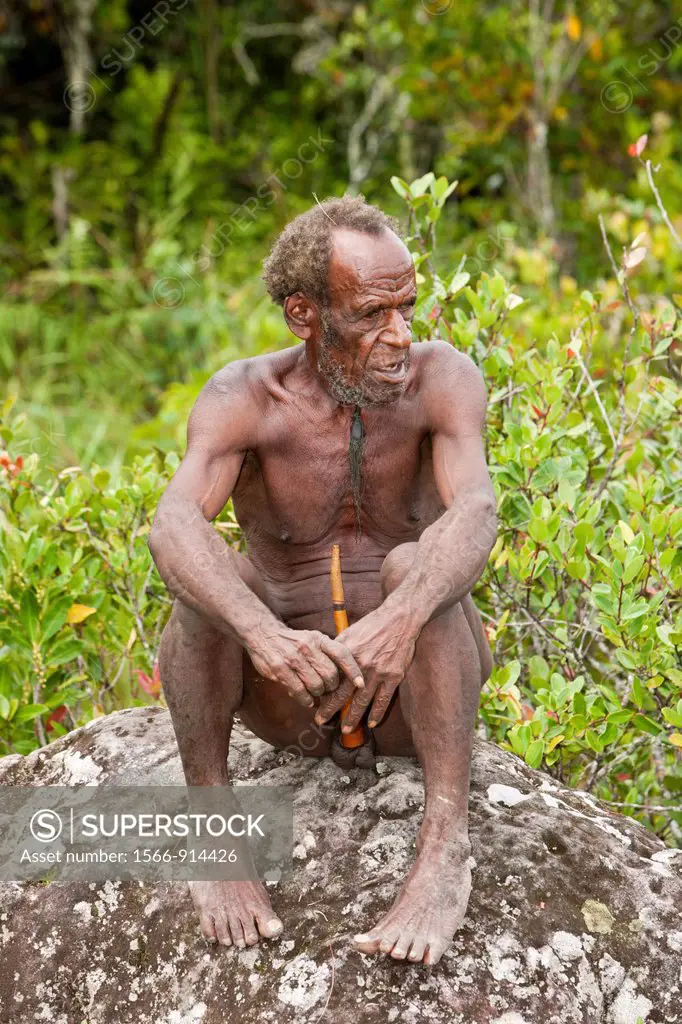 Dani Tribesman wearing Penis gourds, Baliem Valley, West Papua, Indonesia