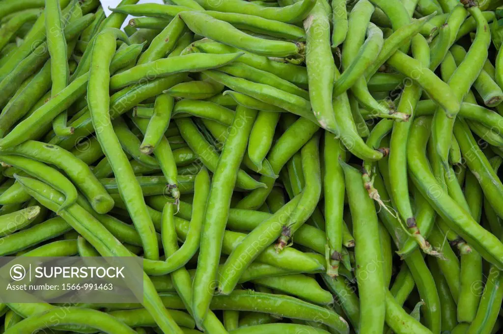 Broad beans at fresh produce market next to old town and port Split Dalmatian coast Croatia Europe