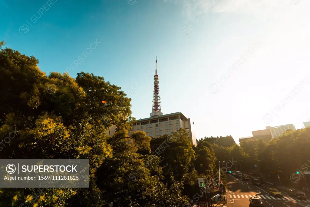 View of city street with Tokyo Tower