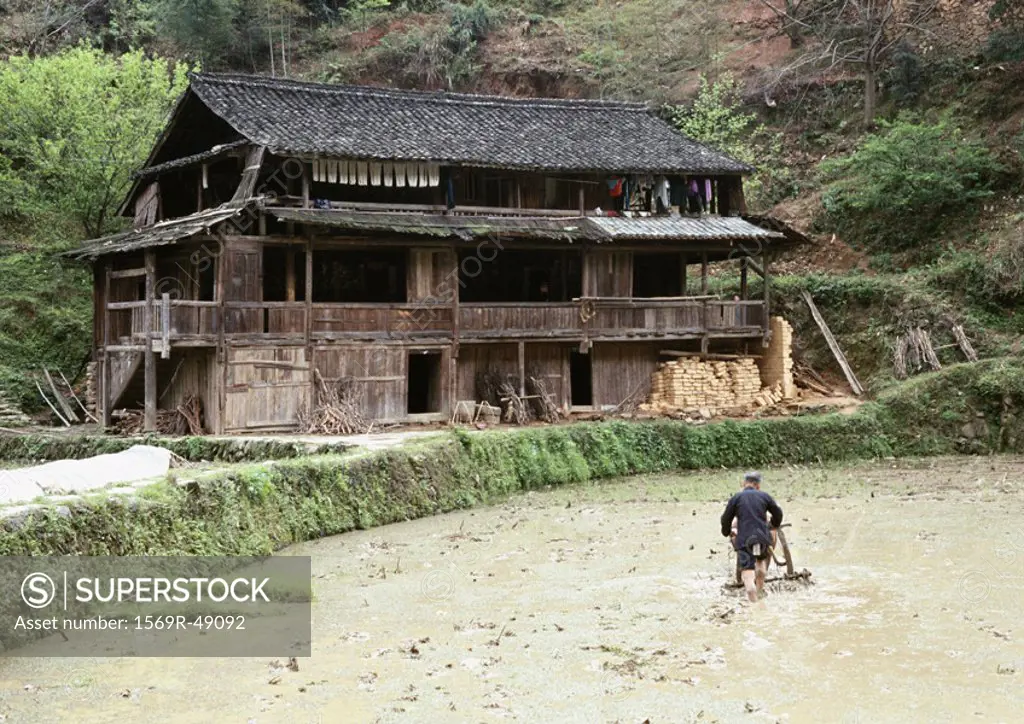 China, Guangxi Autonomous Region, man in rice paddy, old house on bank