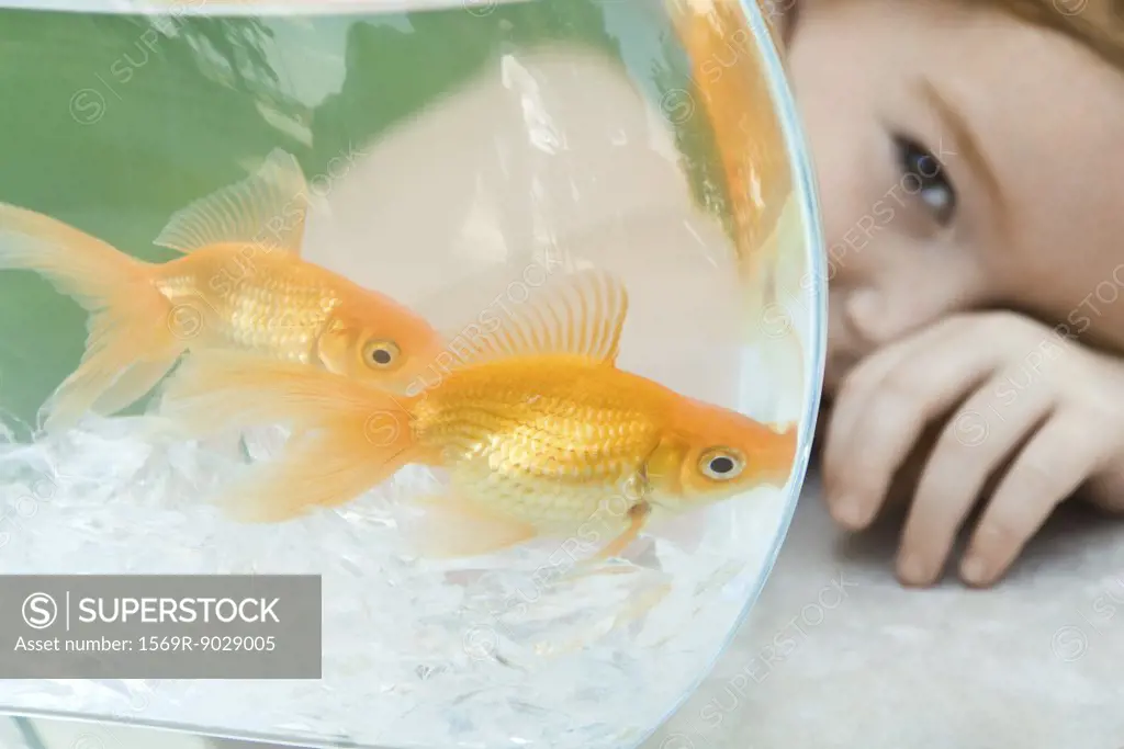 Little girl peeking around goldfish bowl, close-up