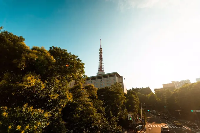 View of city street with Tokyo Tower