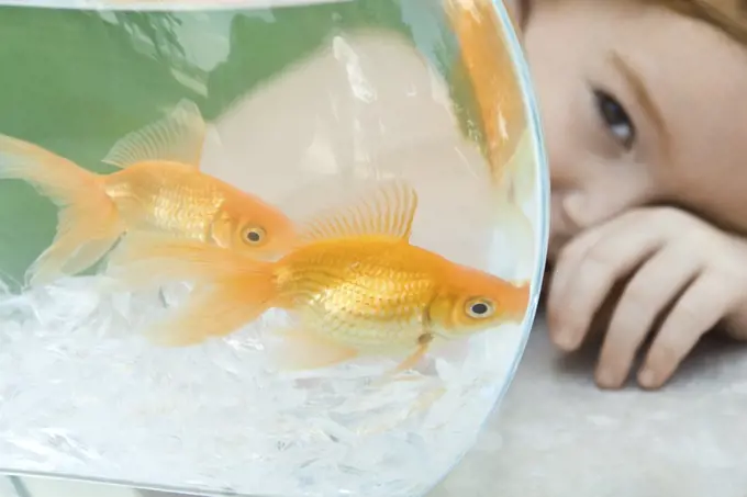 Little girl peeking around goldfish bowl, close-up