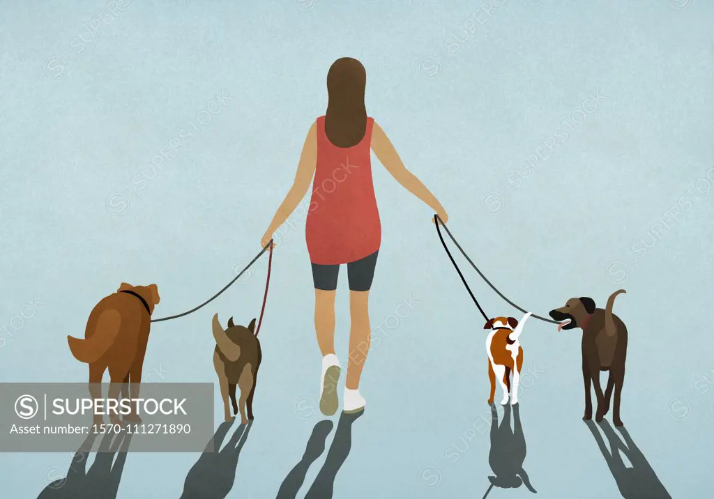 Woman walking four dogs on leashes