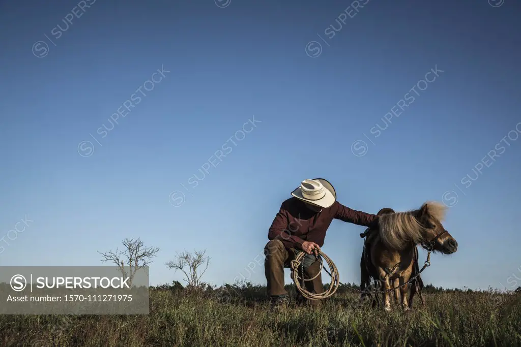 Male cowboy with pony in sunny rural field