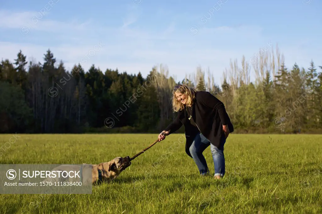 Woman and dog playing with stick in sunny rural field