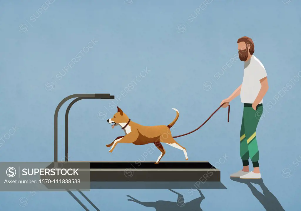 Man with leash watching dog running on treadmill