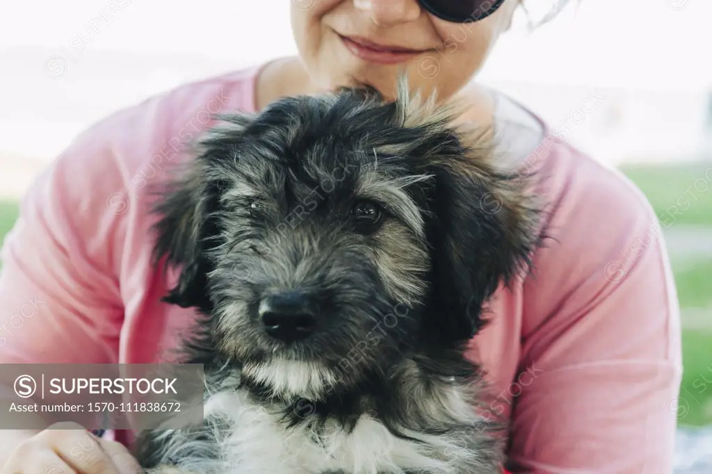 Close up woman holding cute Barbado da Terceira puppy