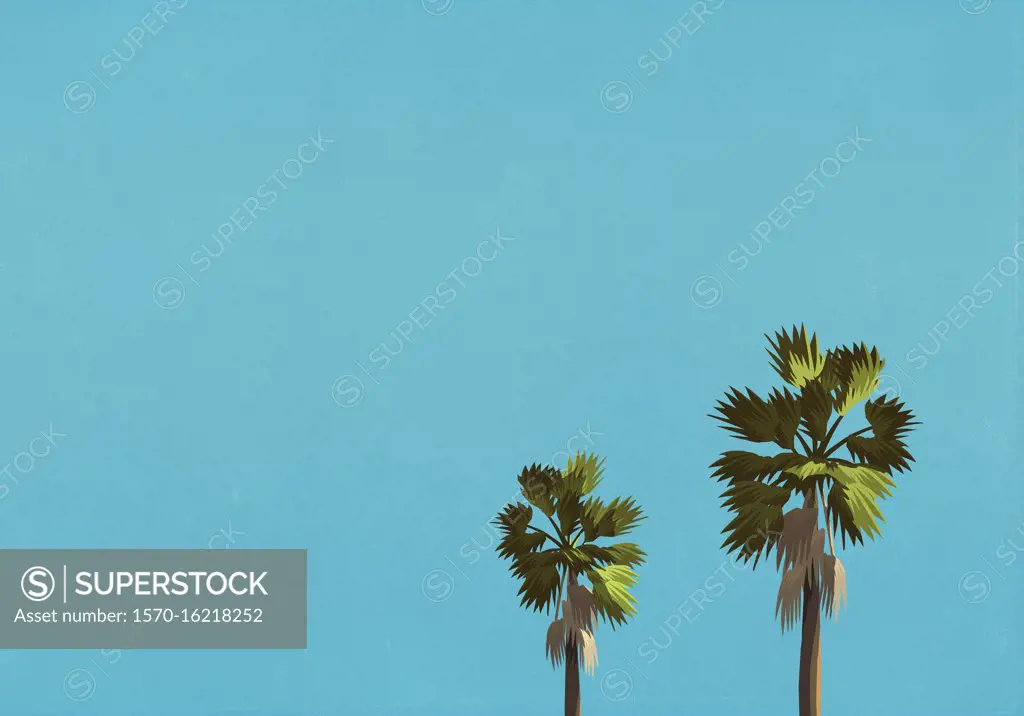 Palm trees against blue sky