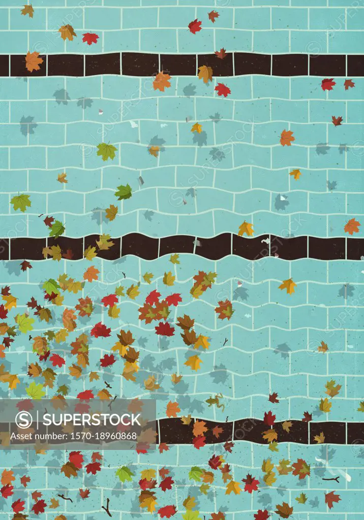 View from above of autumn leaves floating on swimming pool water