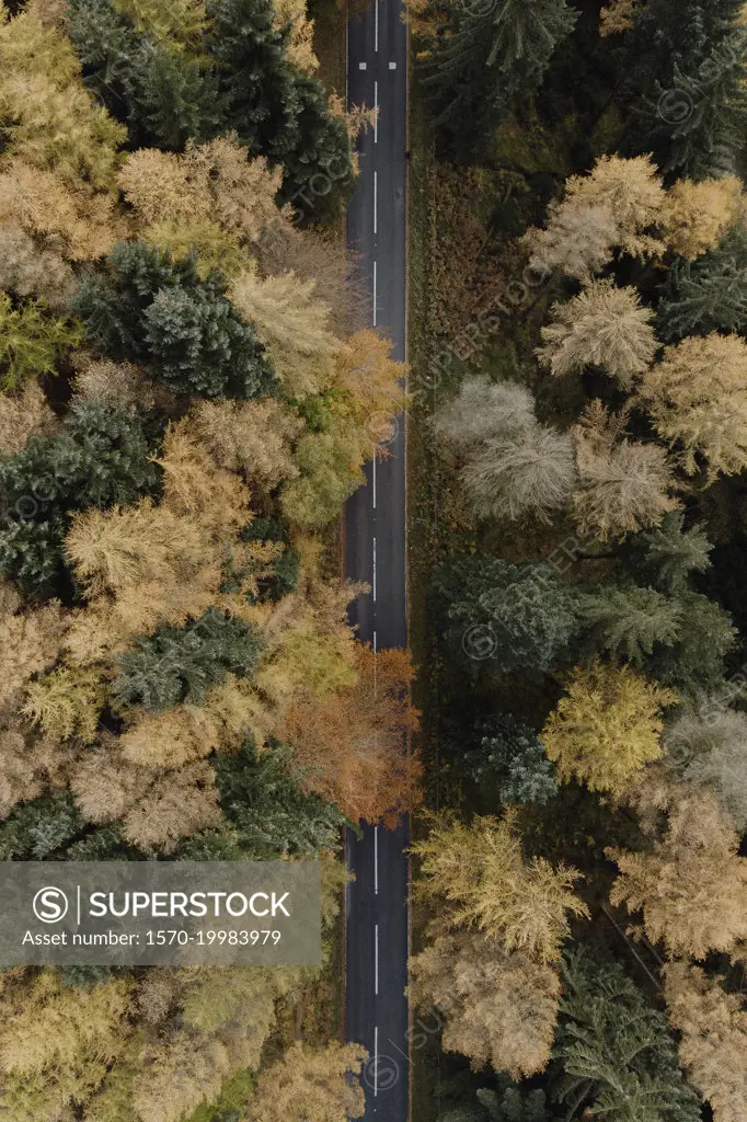 Aerial view road among autumn trees in woods, Peak District National Park, England