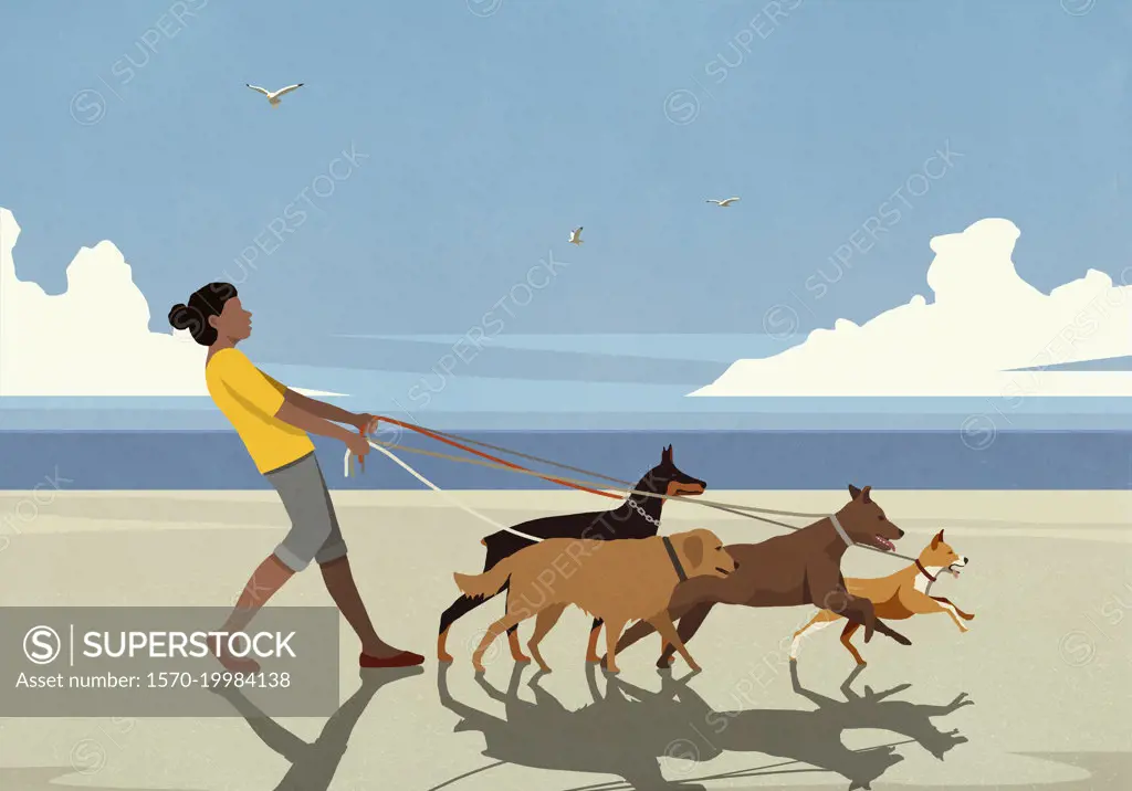 Woman walking dogs on leashes on sunny summer ocean beach