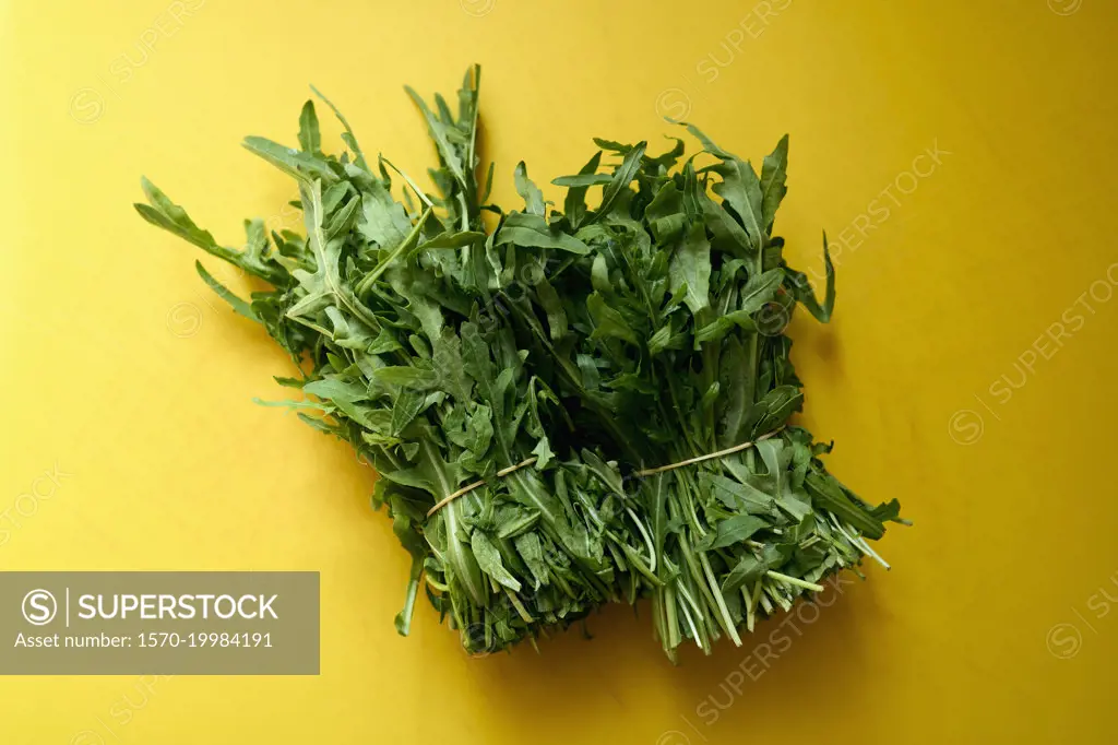 Still life bunches of green arugula on yellow background