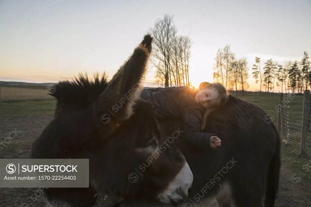 Girl laying on donkey in pasture